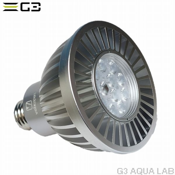 volxjapan GrassyLeDio RX121S Reef�ʥ���С���[4560381575017]