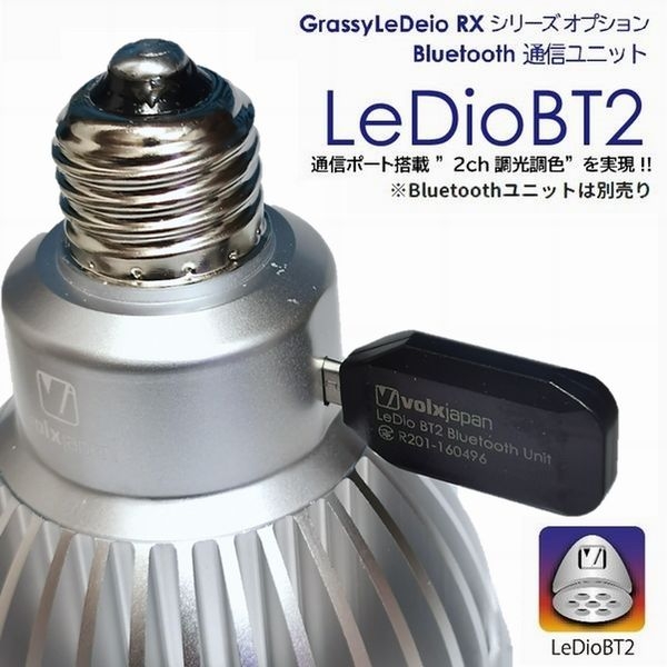 volxjapan GrassyLeDio RX121S Reef�ʥ���С���[4560381575017]
