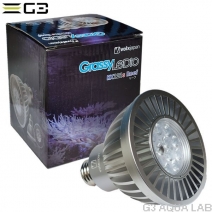 volxjapan GrassyLeDio RX121S Reef�ʥ���С���[4560381575017]