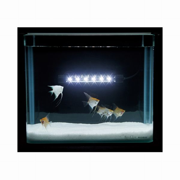 ���ȥ֥� ���륹�ƥ��å� �ۥ磻�ȡ�[4972814033795]