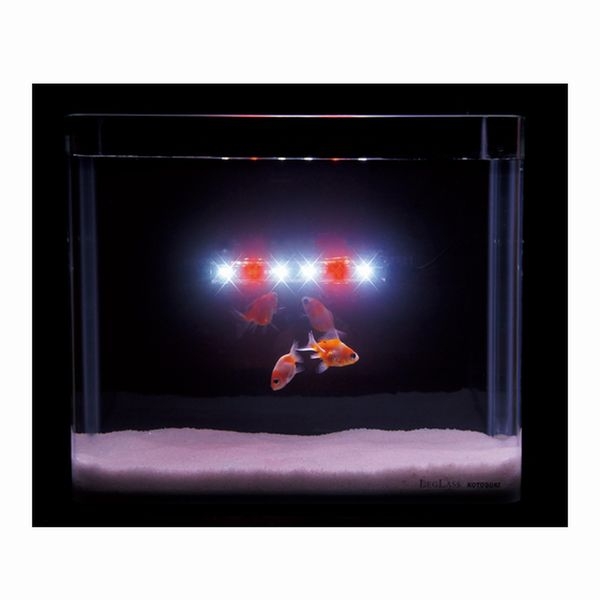 ���ȥ֥� ���륹�ƥ��å� ��å�/�ۥ磻�ȡ�[4972814033818]