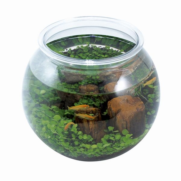 ���ȥ֥� ��餷�˥���� �����ȭ M��4972814436756��