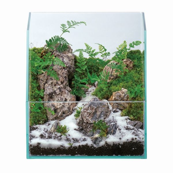 ���ȥ֥� �쥰�饹�ͥ����㡼200��[4972814150348]