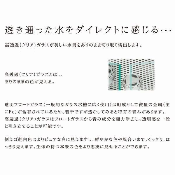 コトブキ レグラスハイクリアHC-1250L クリアガラスフレームレス水槽 120cm 西濃運輸営業所止め