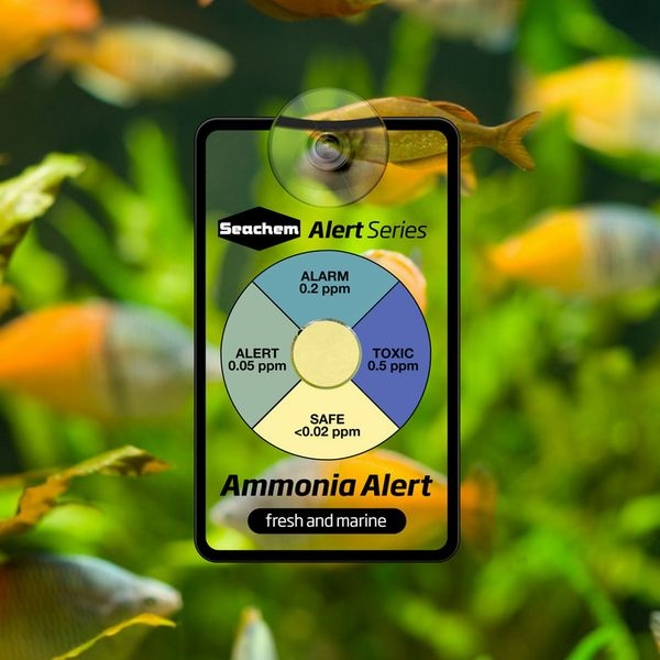  ˥顼 Seachem[000116001007]