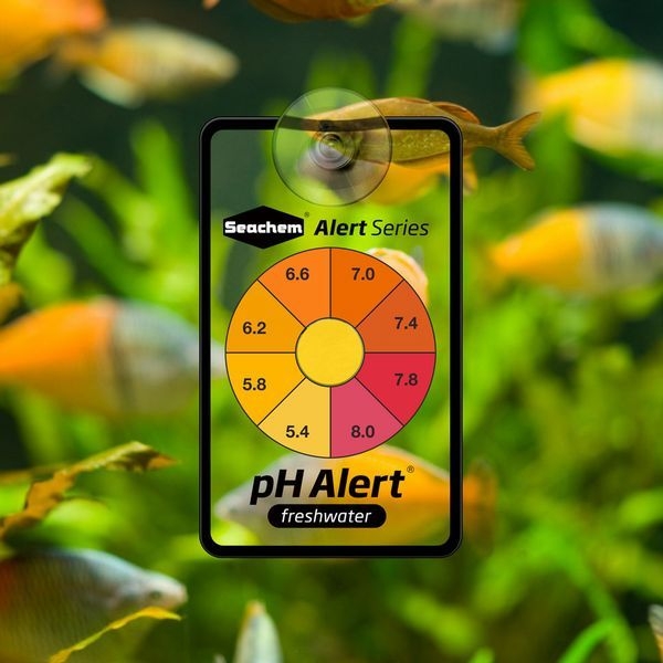 ���������襢�顼��ø������ Seachem[000116001007]