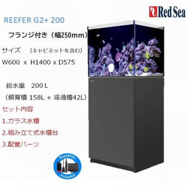 ڼ󤻡ۥåɥ ꡼եG2+ 200եդ ֥å