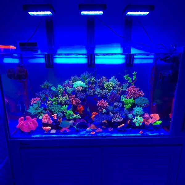 �����ͽ���chihiros Aquatic Studio NOVA1 [4533760535186]