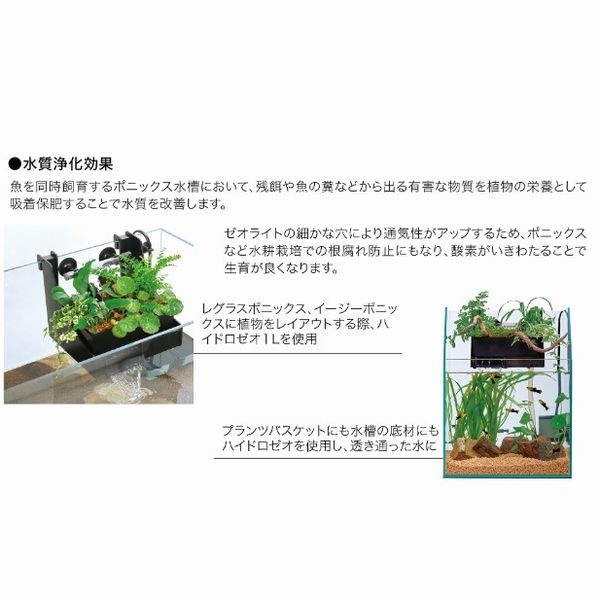 ���ȥ֥�  ��ĥ���� �ϥ��ɥ����� 1L��[4972814589810]