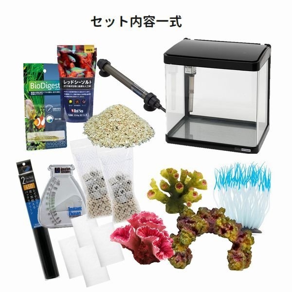 カクレクマノミスターター飼育セット 30cm曲げガラス水槽