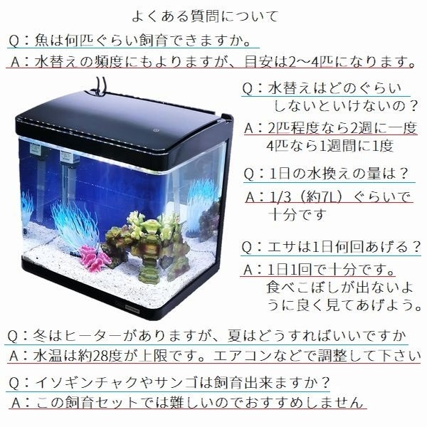 カクレクマノミスターター飼育セット 30cm曲げガラス水槽