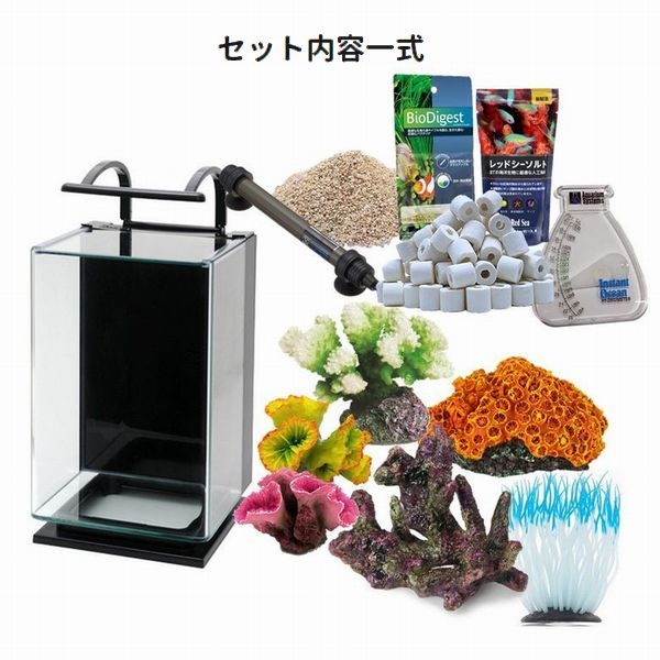 カクレクマノミスターター飼育セット 25cmハイタイプガラス水槽
