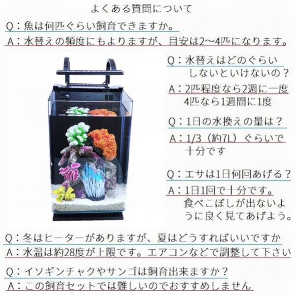 カクレクマノミスターター飼育セット 25cmハイタイプガラス水槽