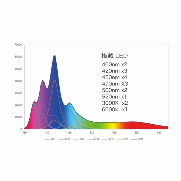 volxjapan Grassy Cetus2 Reef ����å�������������2[4560381575611]