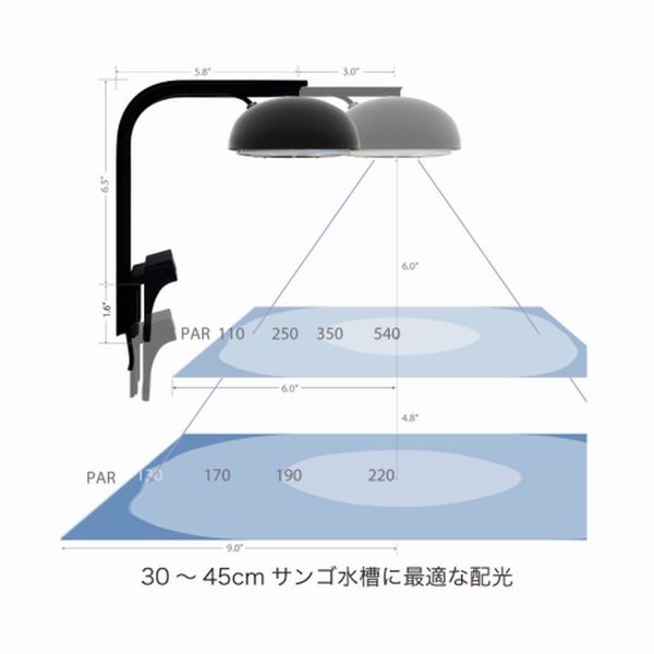 volxjapan Grassy Cetus2 Reef ����å�������������2[4560381575611]