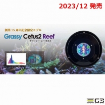 volxjapan Grassy Cetus2 Reef ����å�������������2[4560381575611]