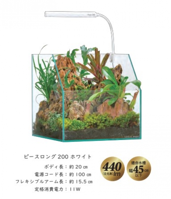 ߥLED ԡ200 ۥ磻ȡ[4972814033870]