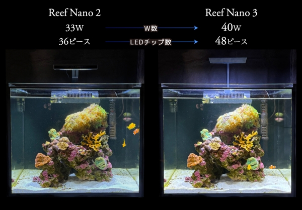 zoox�����ץƥ��ޥ����꡼�եʥ�3��[4540103070587]