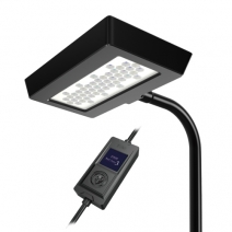 zoox�����ץƥ��ޥ����꡼�եʥ�3��[4540103070587]