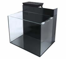 �����뭶 �ޥ�� SHELL ����[4540103440205]