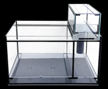 �ڼ���ORCA���������륬�饹�����550 [4540103460104]