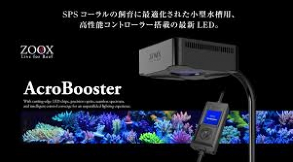 ZOOX ֡ 65W[4540103070556]