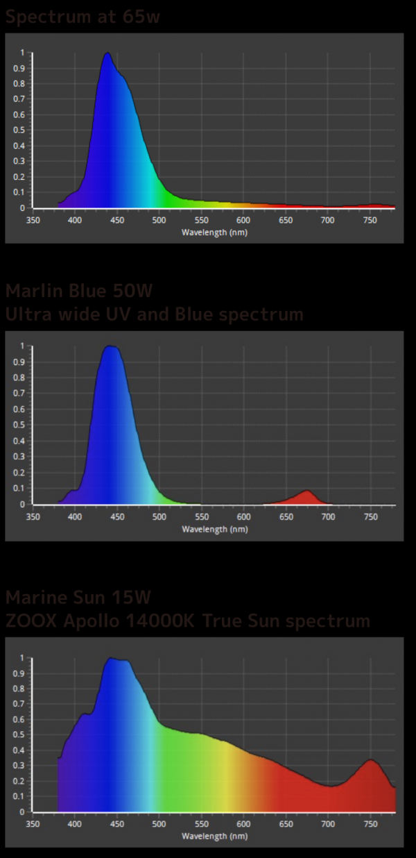 ZOOX ֡ 65W[4540103070556]