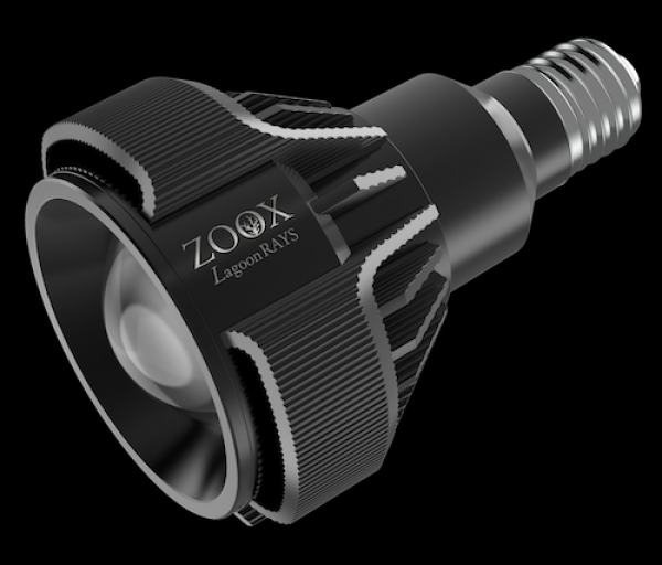 ZOOX Lagoon RAYS��[4540103070570]