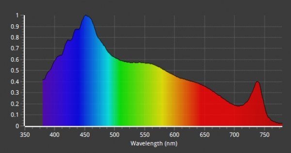ZOOX Lagoon RAYS[4540103070570]