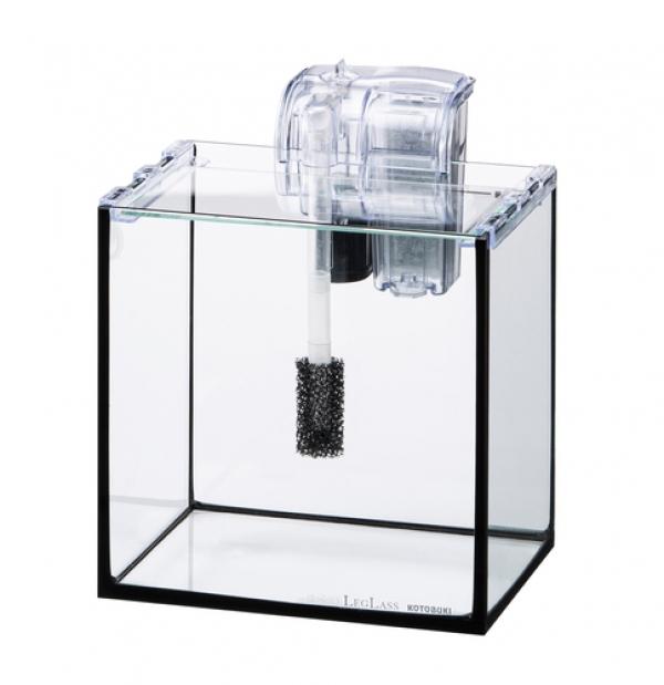 ���ȥ֥����� ���奻�å� �쥰�饹 F-20S/B �ե��륿�����å�MF [4972814 427136]