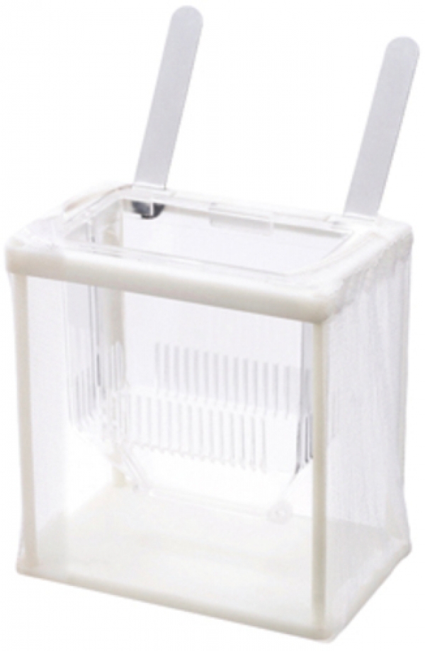 ���ȥ֥� �����˿�����Υ�ͥå�S��[4972814 501065]