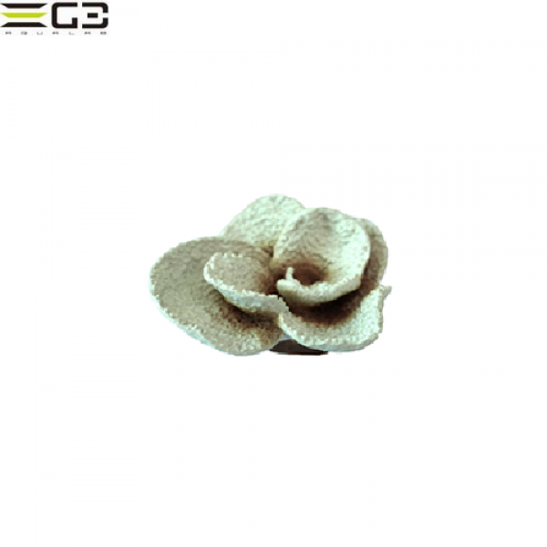 ���󥹥� ZEST ��ץꥫ���󥴡�M-14��[4934743012234]