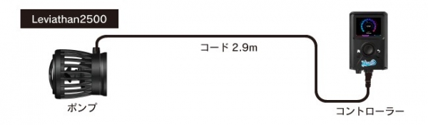 �ڼ��󤻡�zoox Leviathan 2500 (�������������2500) [4540103010040]