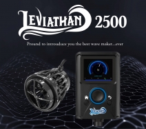 �ڼ��󤻡�zoox Leviathan 2500 (�������������2500) [4540103010040]