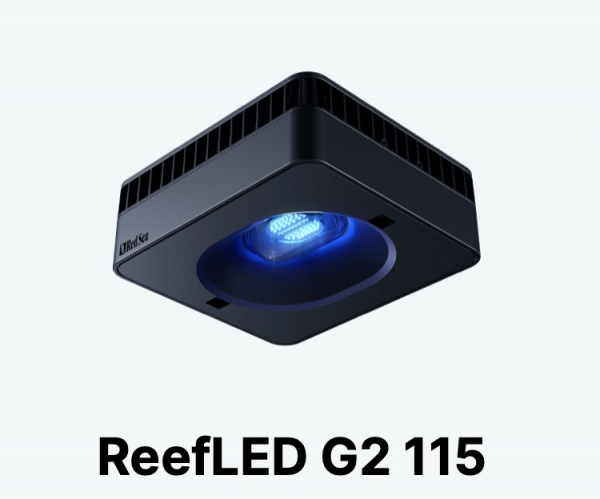 ��åɥ��� RedSea��ReefLED G2 115��[7290116397092]