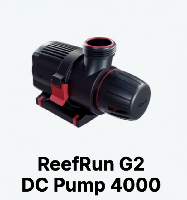 ��åɥ��� RedSea��ReefRun G2 4000 DC�ݥ�ס�[7290116397047]