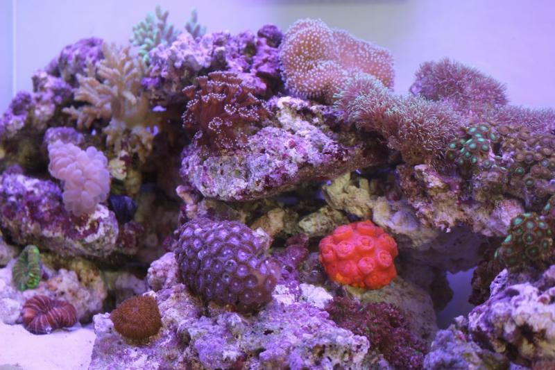 G3 AQUA LAB
