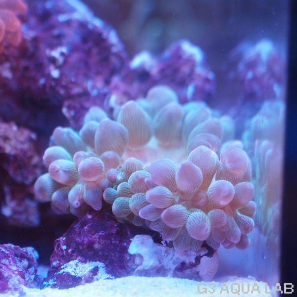 g3 aqua lab g3 aqua lab