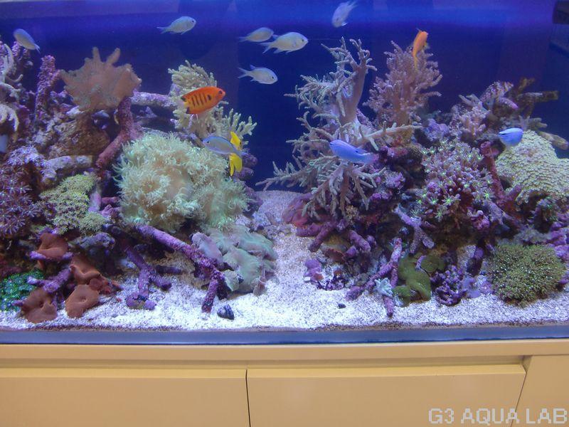 g3 aqua lab g3 aqua lab