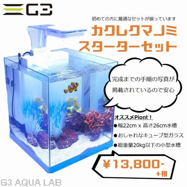 海水魚水槽 スターターセット 88500円相当