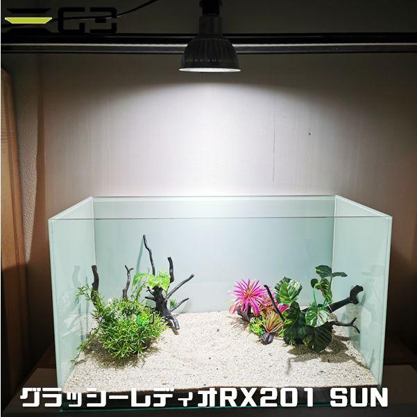 ｇ３ ａｑｕａ ｌａｂ