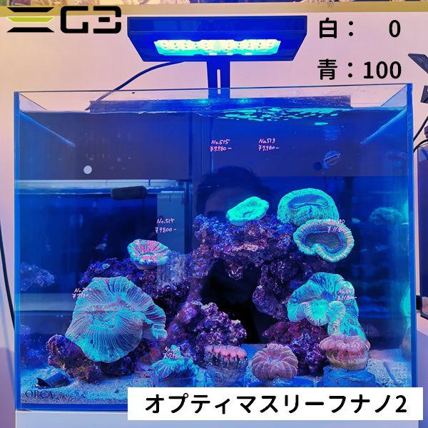 最安 オプティマスリーフナノ2 魚用品 水草 Www Jeulnan Co Kr